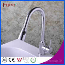 Fyeer Pull out Kitchen Sink Faucet with Head Button